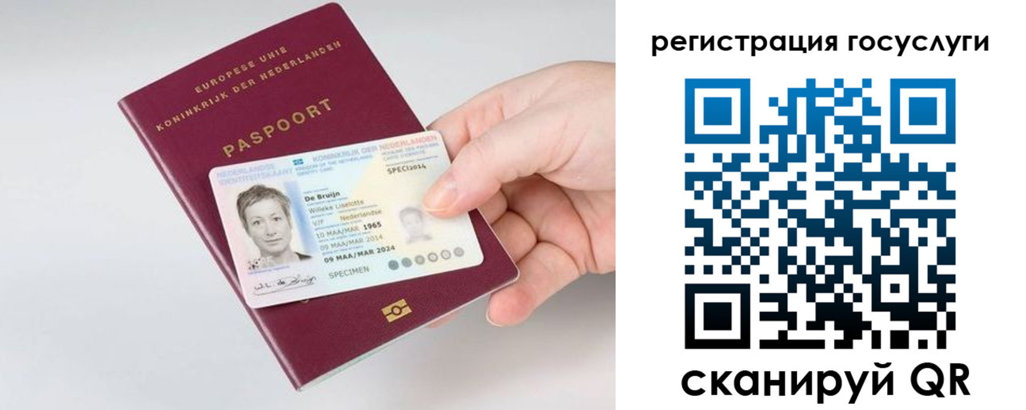 регистрация для дет. сада в Ельце